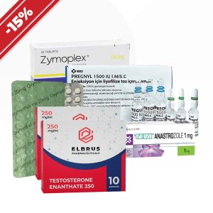 Verpackung Langfristiger Kurs zum Aufbau von Muskelmasse. Anapolon + Testosteron