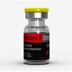 Verpackung Benelux Pharma Testosteron Enantat 250mg 10ml