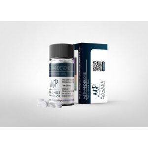 Verpackung Dianabol Magnus Pharma